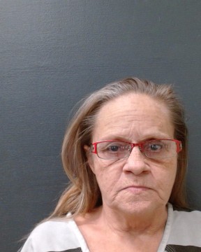 COLLINI, ALETHA JANE booking photo