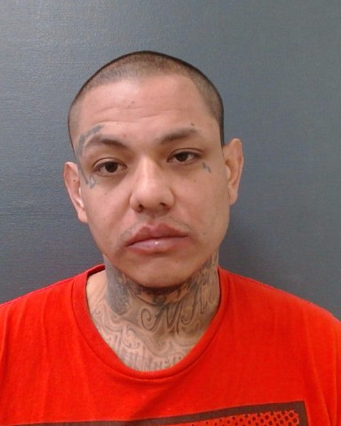 LONGORIA, JOHN MARTIN booking photo