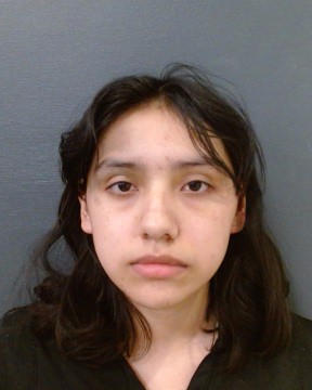 WOLFF, HOPE MARIE booking photo