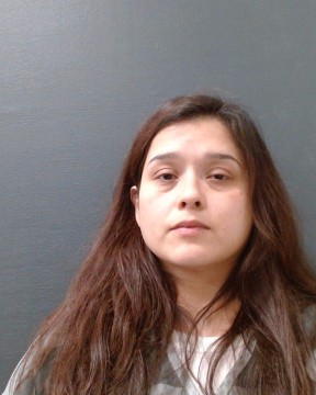 DIAZ, JULYSA LIANA booking photo