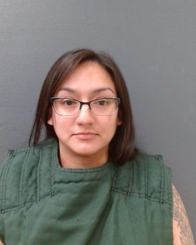 ROBLES, MICHELLE DANIELLE booking photo
