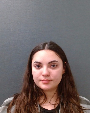 MEDINA, PEARLA ANAHI booking photo