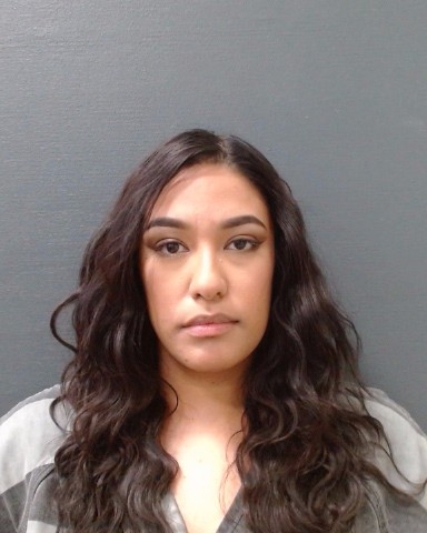 ELIZONDO, ROXANNE MARIE booking photo