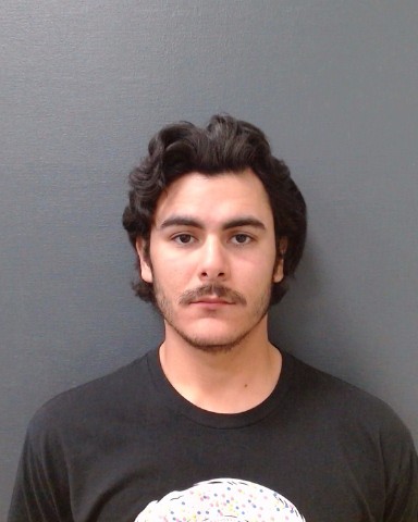 CEPEDA, RONALDO booking photo