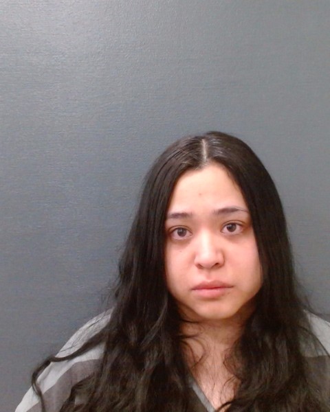 FUERTES, DARLENE ANGEL booking photo