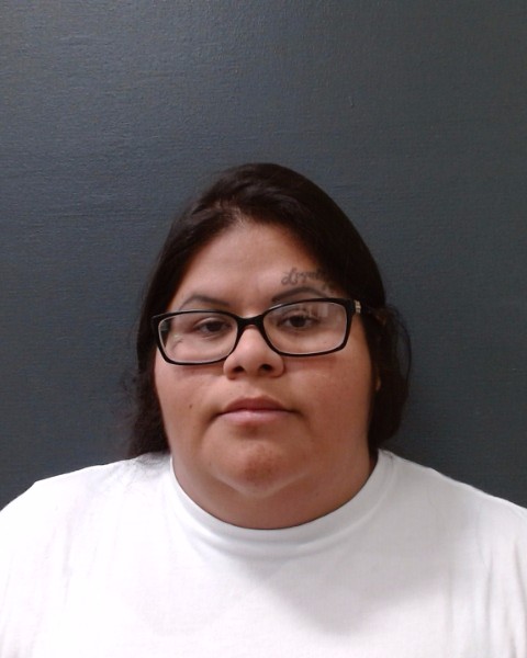 TIENDA, BRITTANY DENEE booking photo