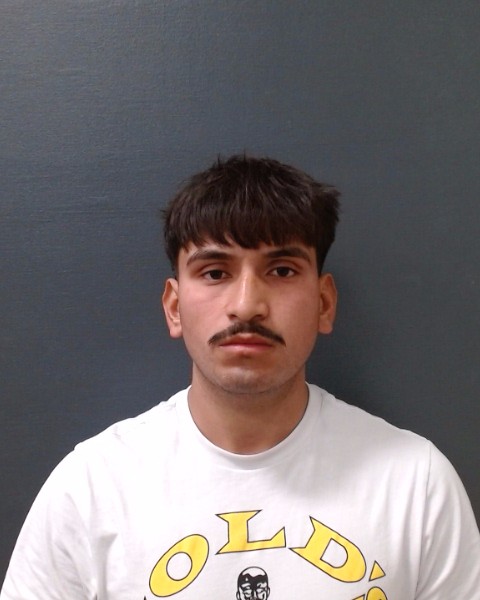 PANTOJA AVILA, VICTOR MANUEL booking photo