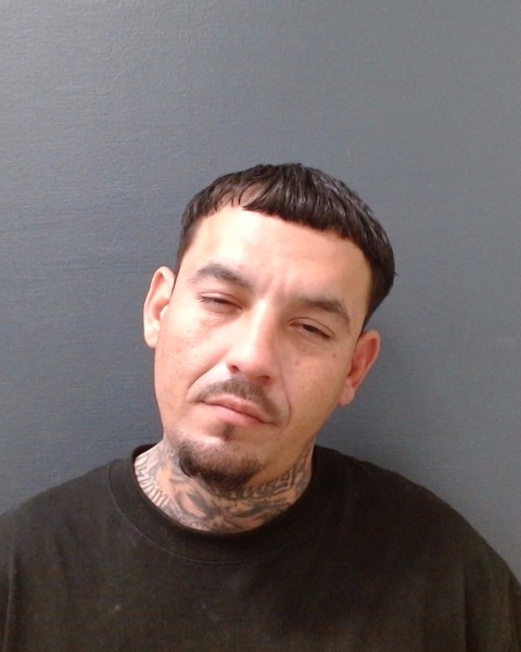 LAGUNAS, ALAN booking photo