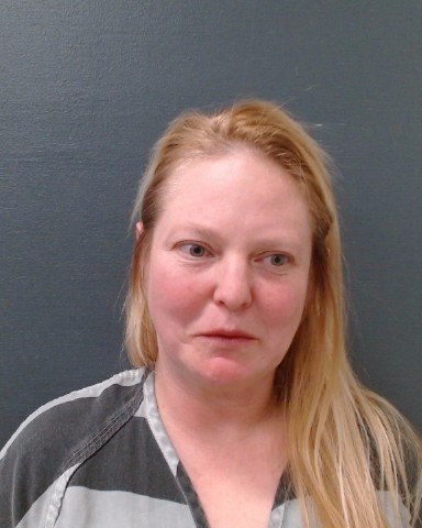 VESSELIZA, LAUREN MARIE-ELIZABETH booking photo