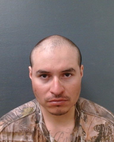 LEDESMA-PATINO, ABEL booking photo