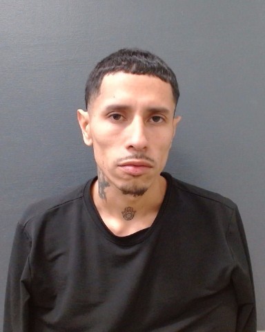 MEDINA, ALEXIS GARCIA booking photo