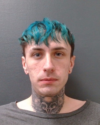 JAMES, DEVIN WAYNE booking photo