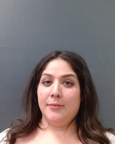 PEREZ, CLAUDIA VANESSA booking photo