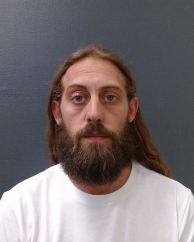 VIVIAN, JAMIE LYNN booking photo