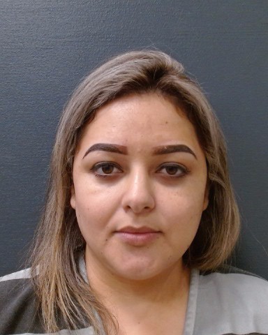 VARGAS-ARREDONDO, ROSALINDA booking photo