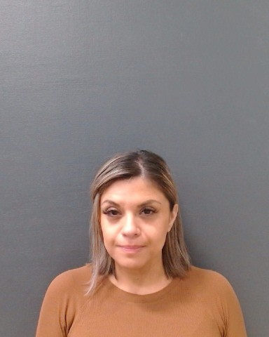 SOLIS, IRENE IDA booking photo