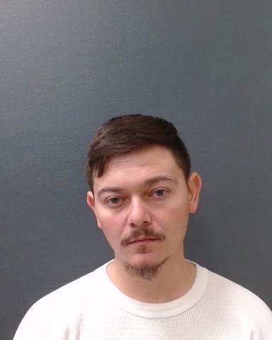 GERTH, GARRETT DALTON booking photo