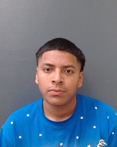 TORRES, GAEL booking photo