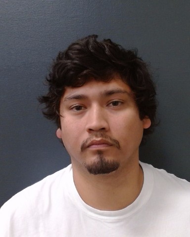 DOMINGUEZ, GABRIEL ANTONIO booking photo