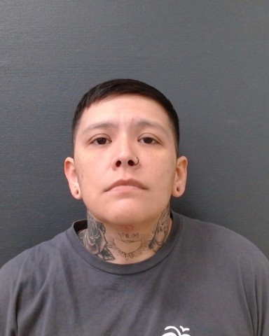 LERMA, BIANCA MARIE booking photo