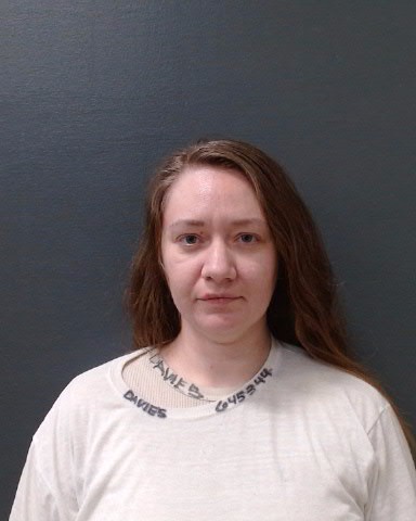 DAVIES, LINDSAY NICOLE booking photo