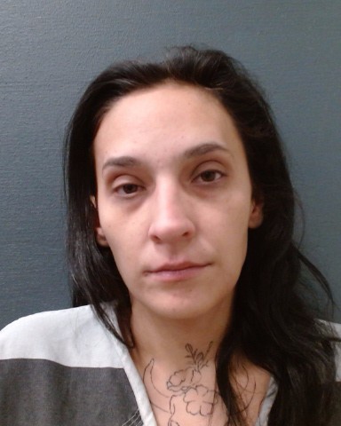 ORTIZ-SABOL, OLIVIA JO booking photo