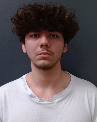 GANSLER, ROGER LAYNE booking photo