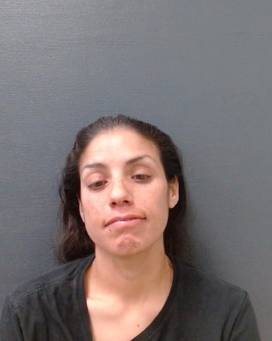 DAVILA, CRISTINA MARIE booking photo