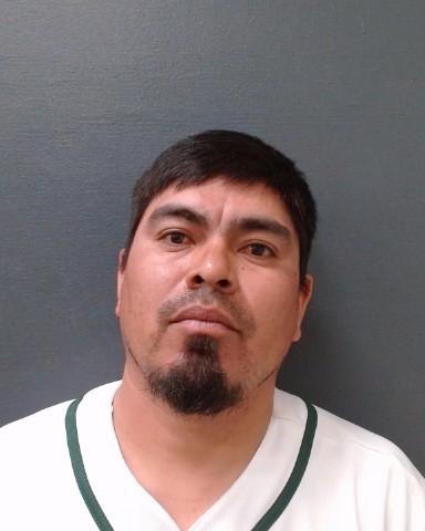 LARA-LEDESMA, PEDRO booking photo