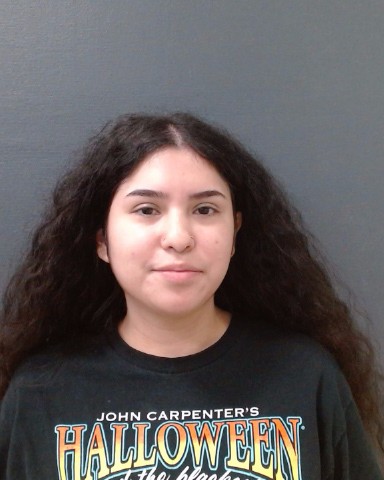 TORREZ, JASMINE DANELLA booking photo