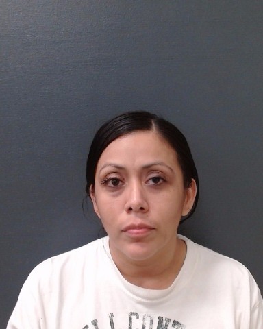 MARTINEZ, YARA booking photo