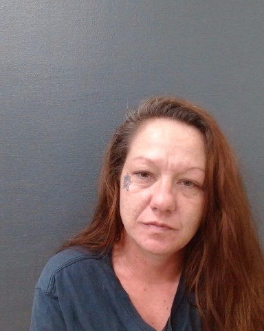 LARY, HOLLY JONELLE booking photo