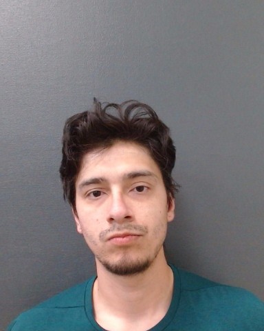 IRIZARRY, ALEJANDRO MANUEL booking photo