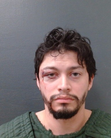 DELAROSA, GUILLLERMO, Jr. booking photo