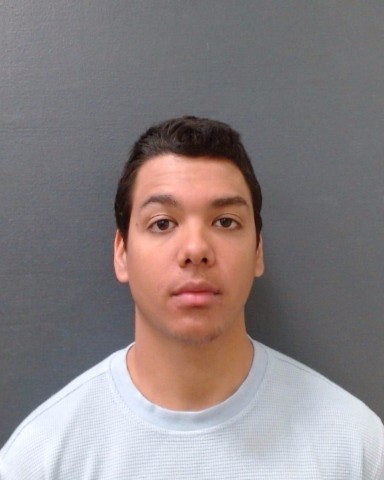 PLACERES, JOZUA ANTHONY booking photo