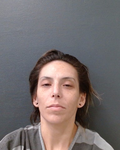 SWARTZ, NICOLE SYDNEY booking photo