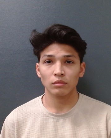 SCHULTZ, TERRY ANDRAS booking photo