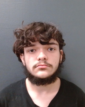 LUNA, ALEXANDER SEBASTIAN booking photo