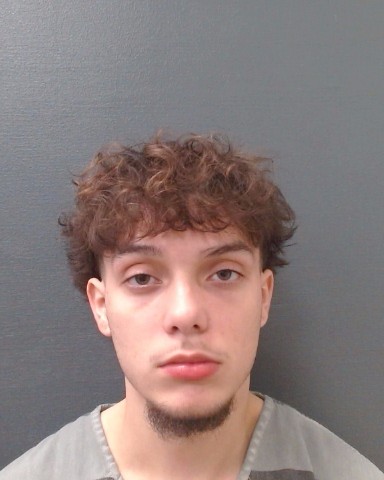 WILLIS, NATHANIEL booking photo