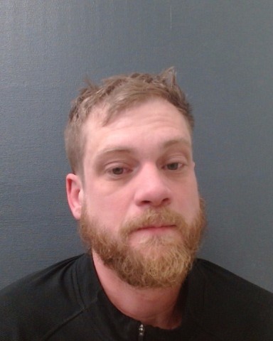 FEST, JOHN TAYLOR booking photo