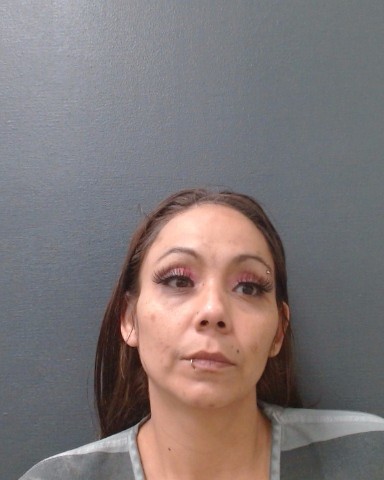 APOLINAR, SANDY booking photo