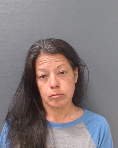 DELAROSA, SONIA booking photo