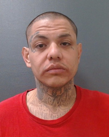 LONGORIA, JOHN MARTIN booking photo