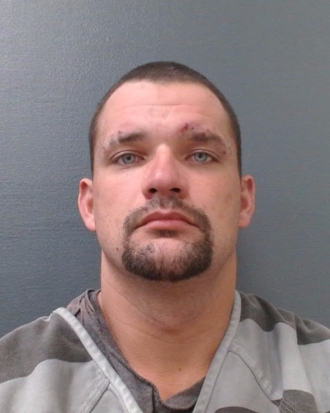 TERRELL, NICHOLAS CARRINGTON booking photo