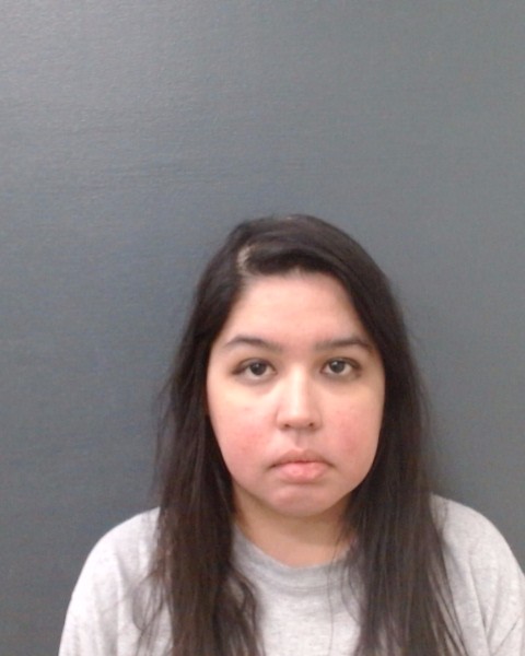 PEREZ, DENISE ROSE booking photo