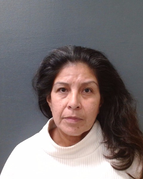 LOPEZ, LINDA LISA booking photo