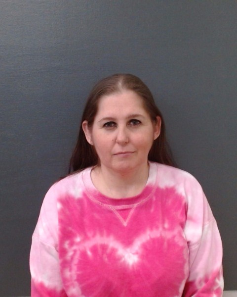 FLEMING, JESSICA LYNNE arrested by Comal County SO/PD