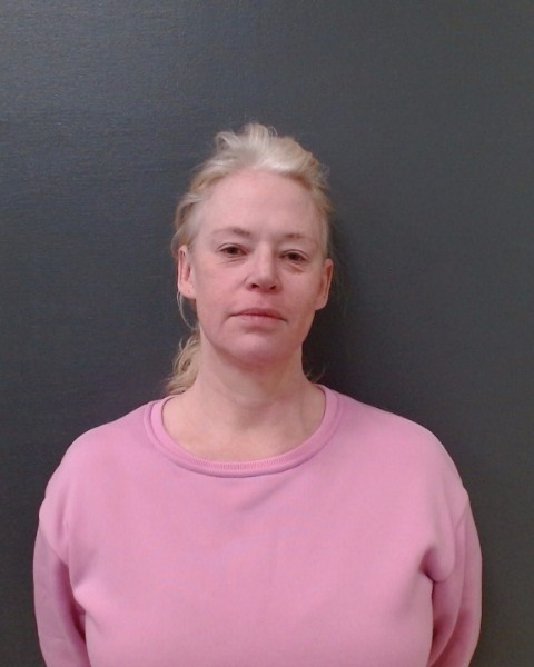 GEORGE, MICHELLE RENEE booking photo