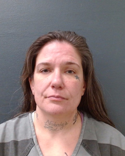 BROWN, KRISTIN IDA booking photo