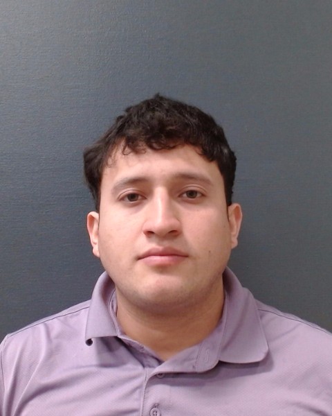 HERNANDEZ, LUIS ARIEL booking photo